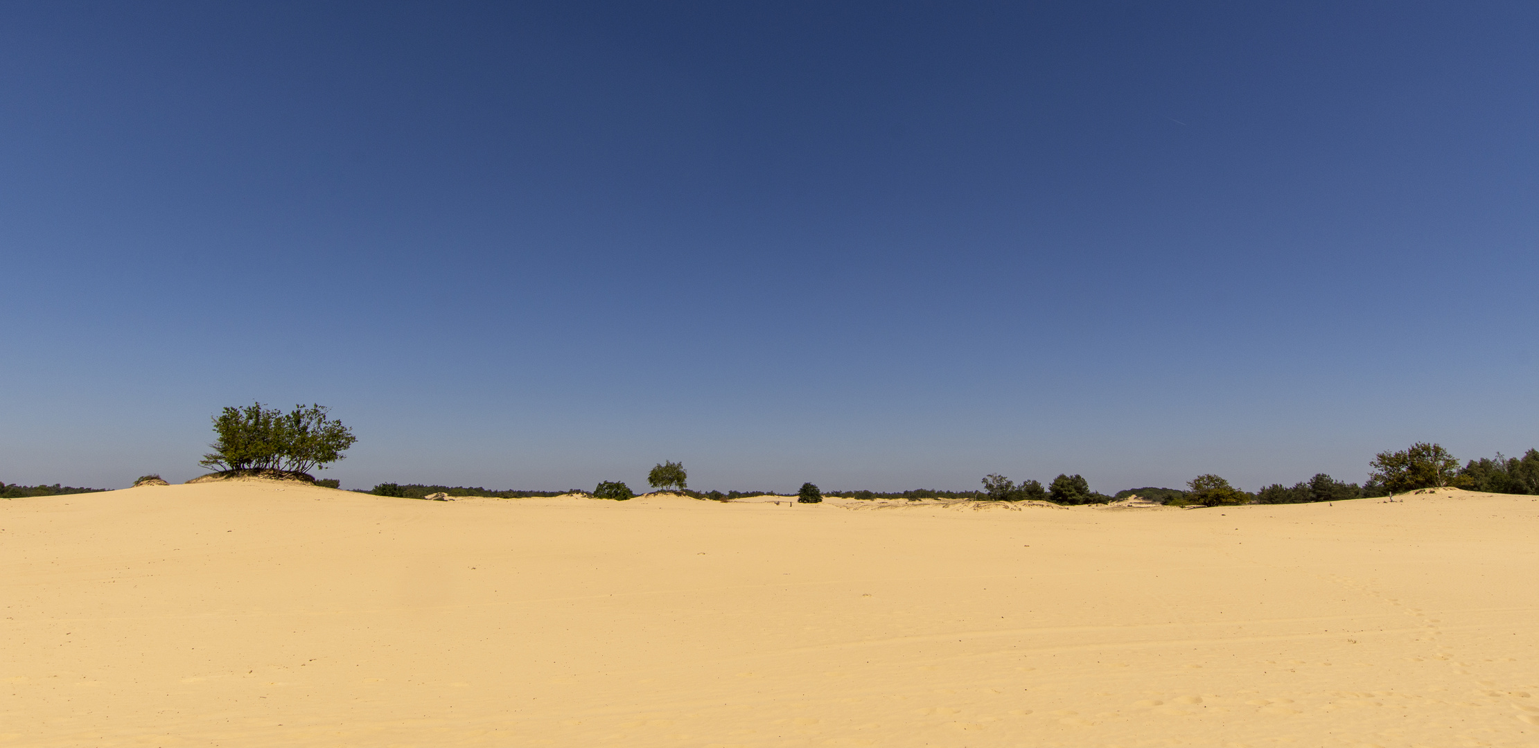 De Loonse en Drunense Duinen - 34