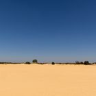 De Loonse en Drunense Duinen - 34