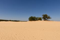 De Loonse en Drunense Duinen 35