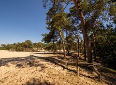 De Loonse en Drunense Duinen - 36