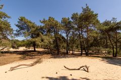 De Loonse en Drunense Duinen - 37