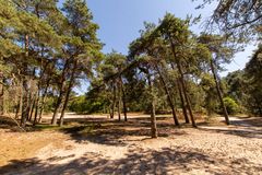 De Loonse en Drunense Duinen - 38