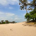 De Loonse en Drunense Duinen