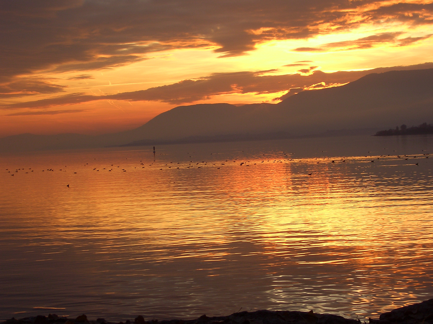 de l'or dans l'eau