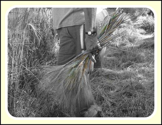 De l'or dans les mains