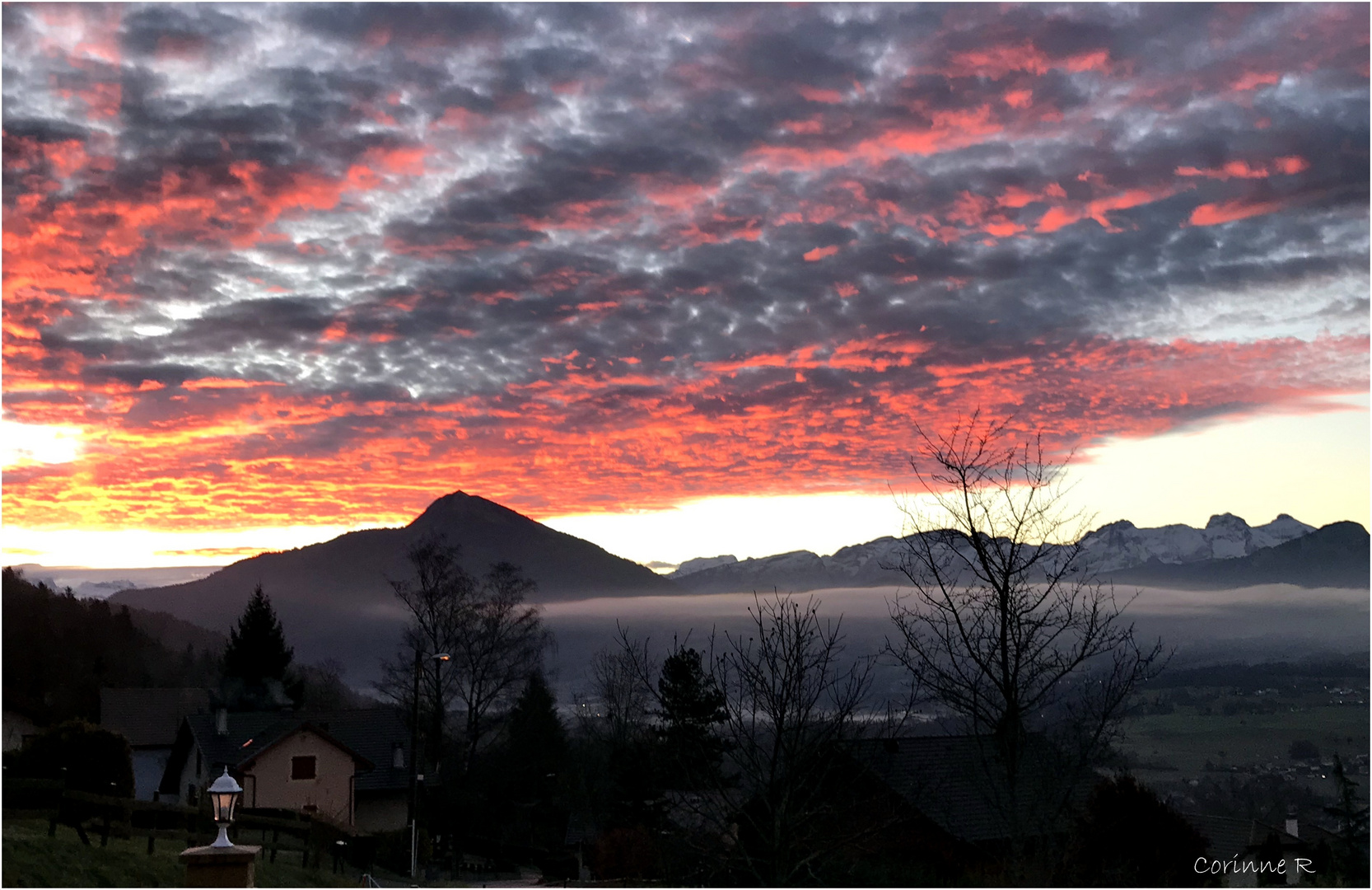 De ma fenêtre, un matin...