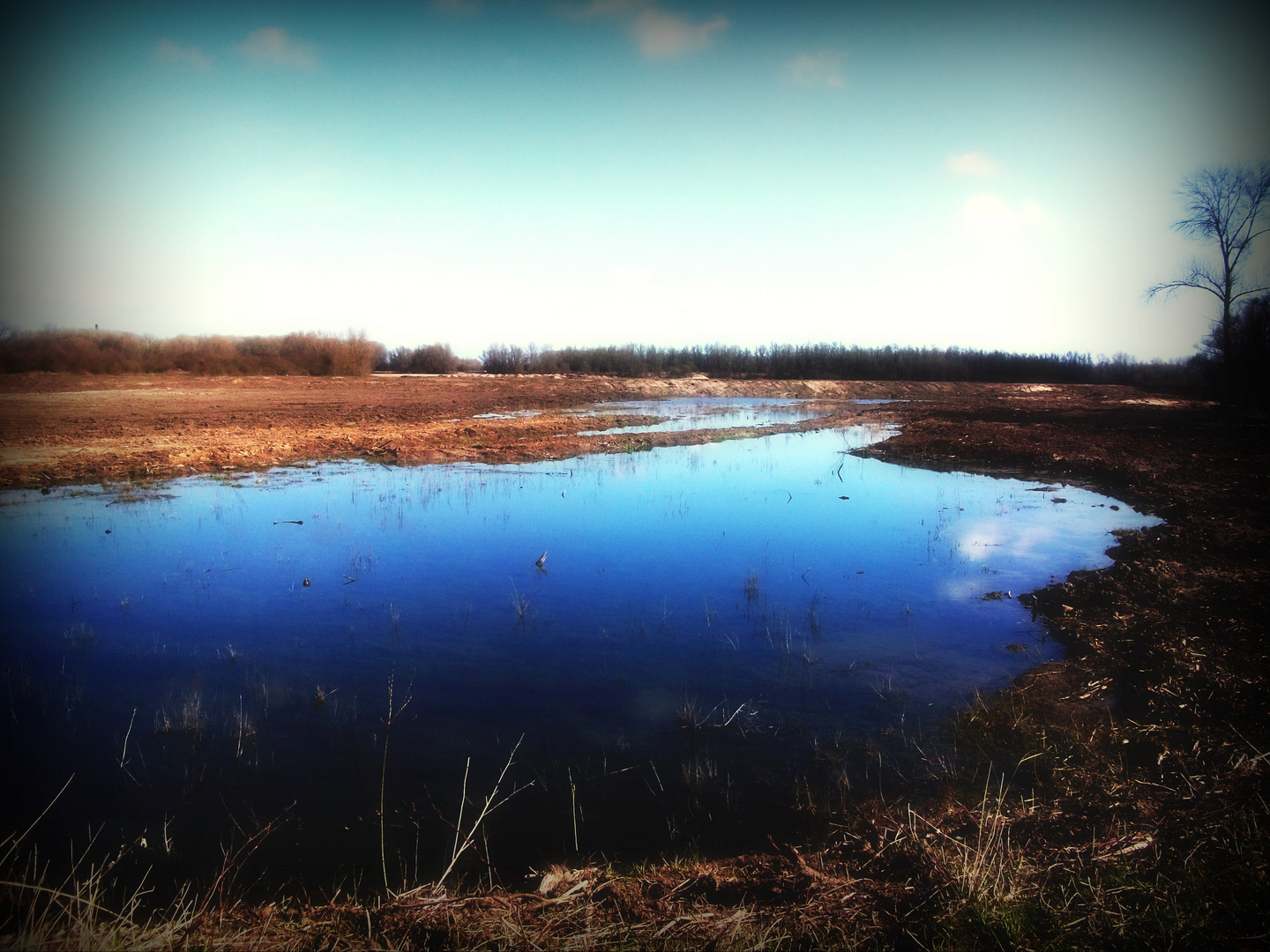 De Maasduinen............