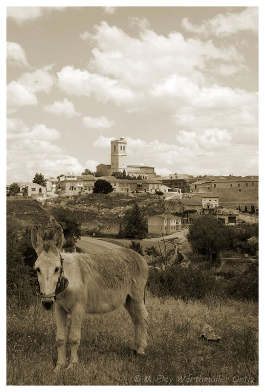 de Madrid...por Torija...a Sabiñanigo