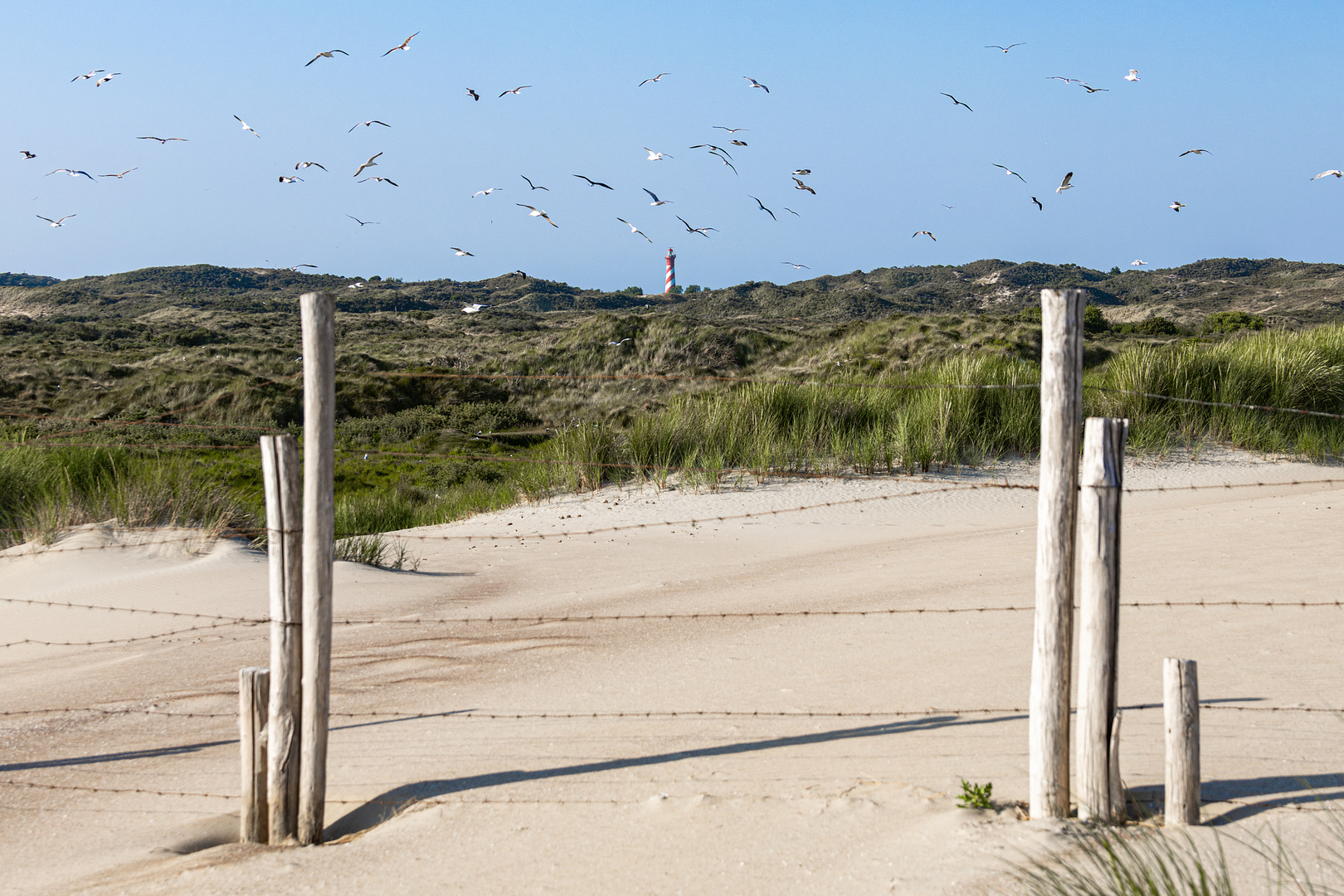 De Meeuwenduinen in Zeeland