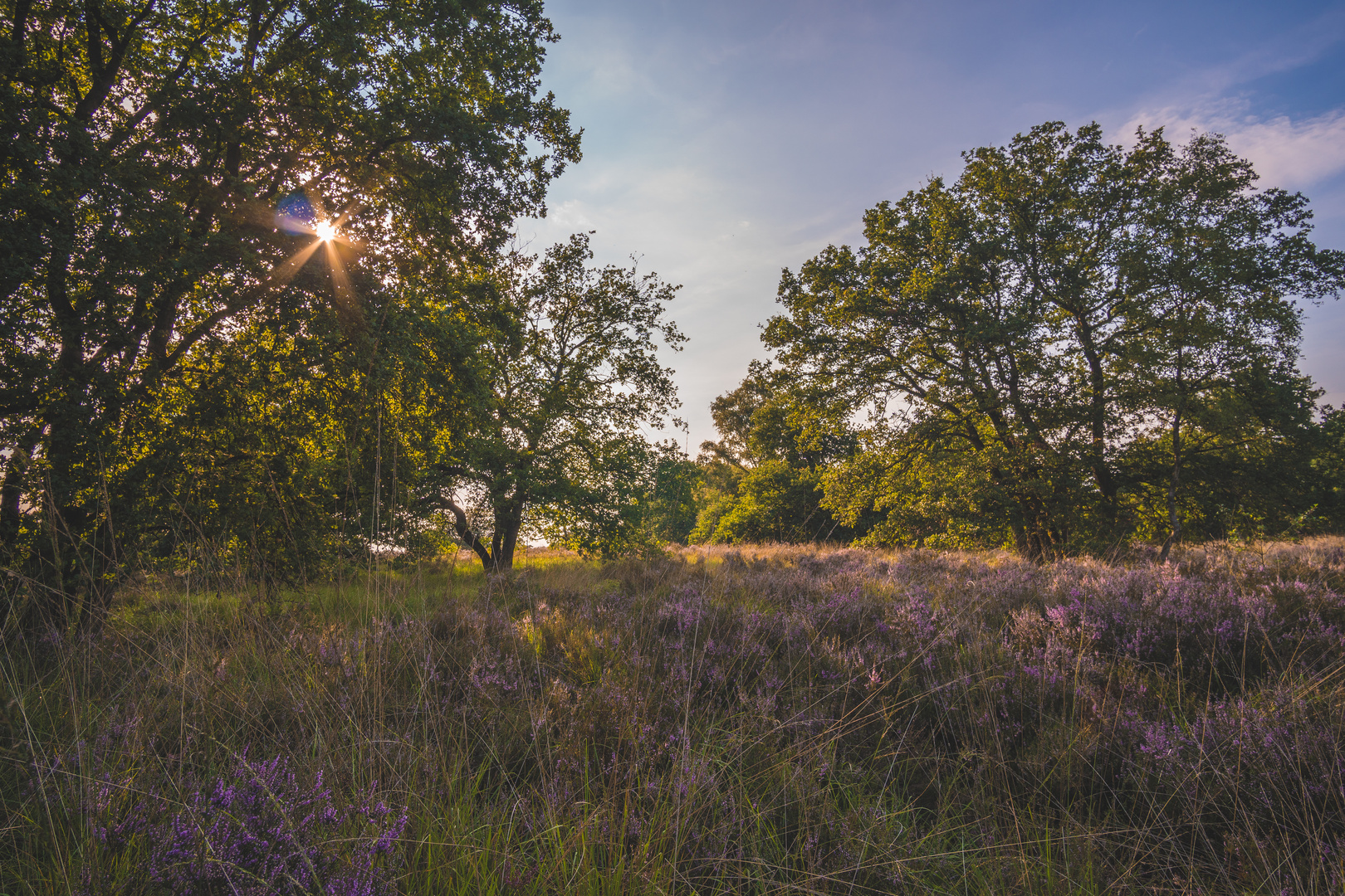 De Meinweg Nationalpark