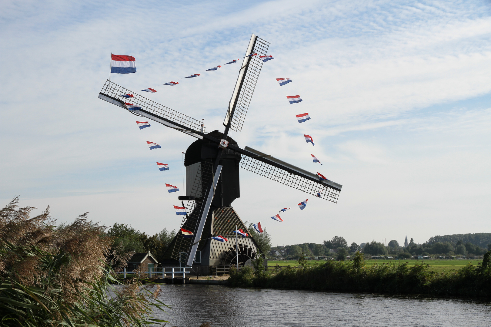 de molen van Kinderdijk