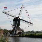 de molen van Kinderdijk