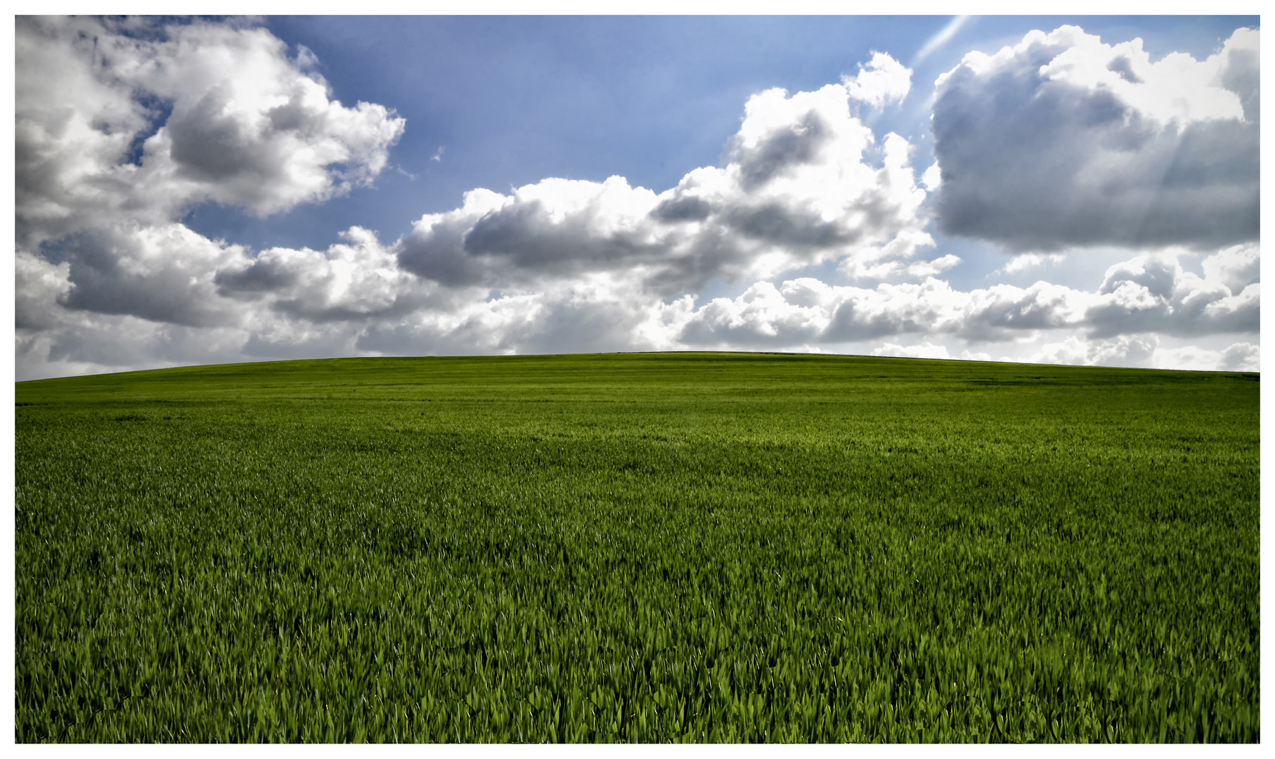 de natura deorum VII Foto & Bild abstraktes, stillleben, farben