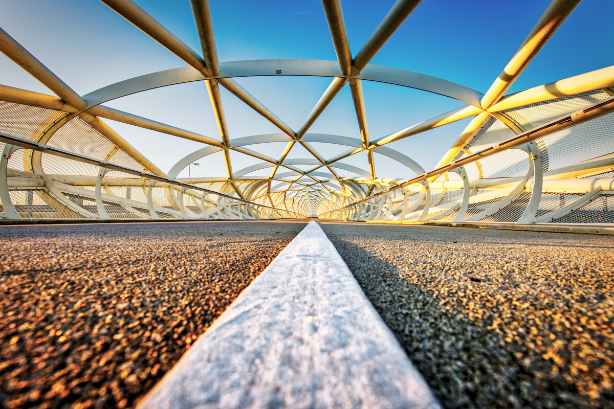 De Netkous (Portlandsebrug) Rotterdam