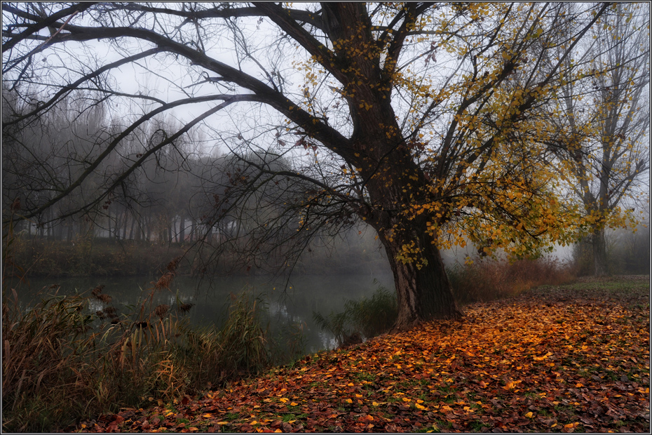 De otoño