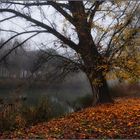 De otoño