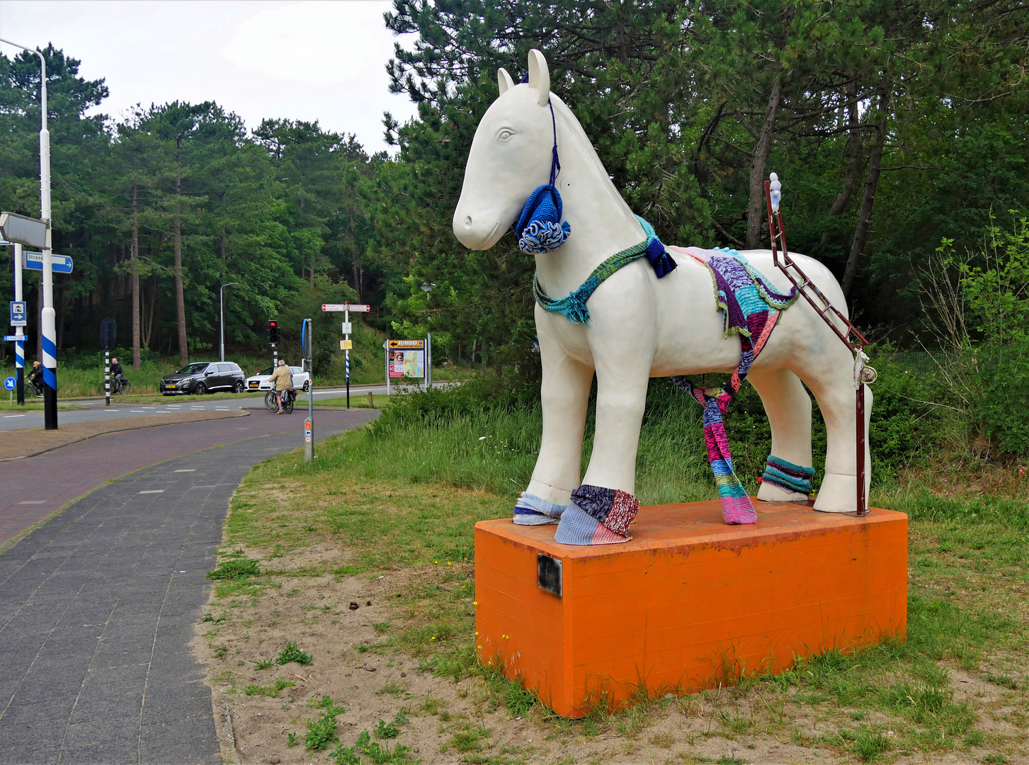 " de paardenparade "