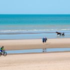 De Panne Rushhour