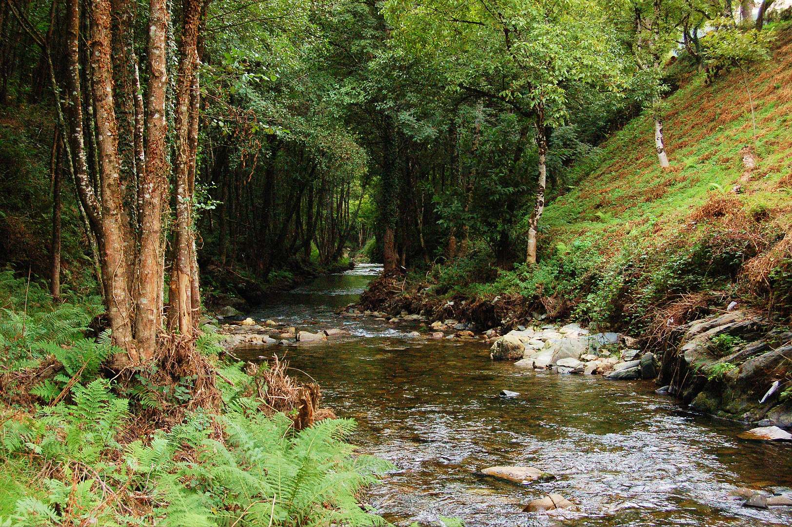 de paseo por el rio