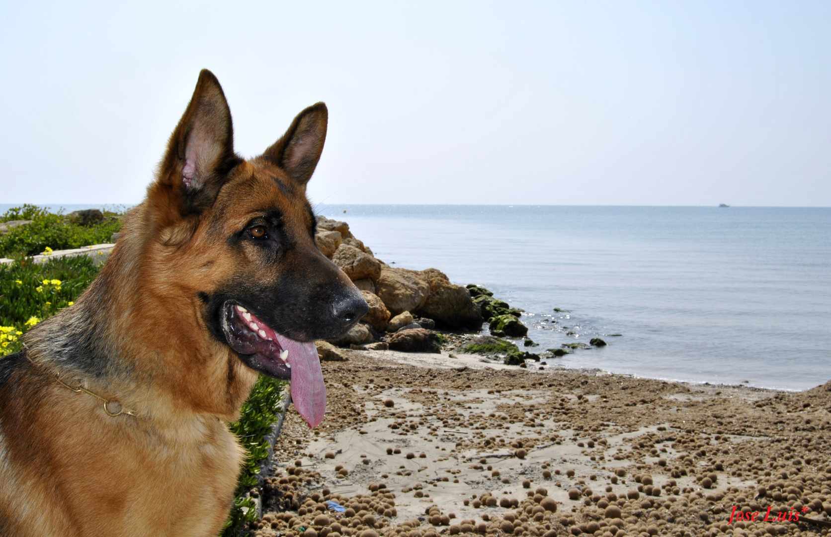 De paseo por la playa