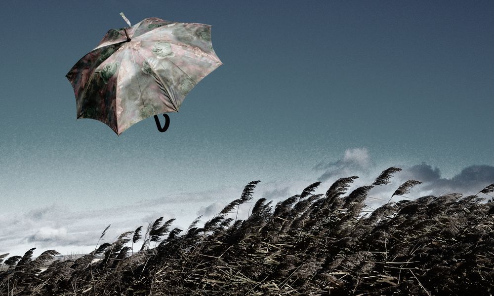 de Paso entre las Nubes by Corina simplu 