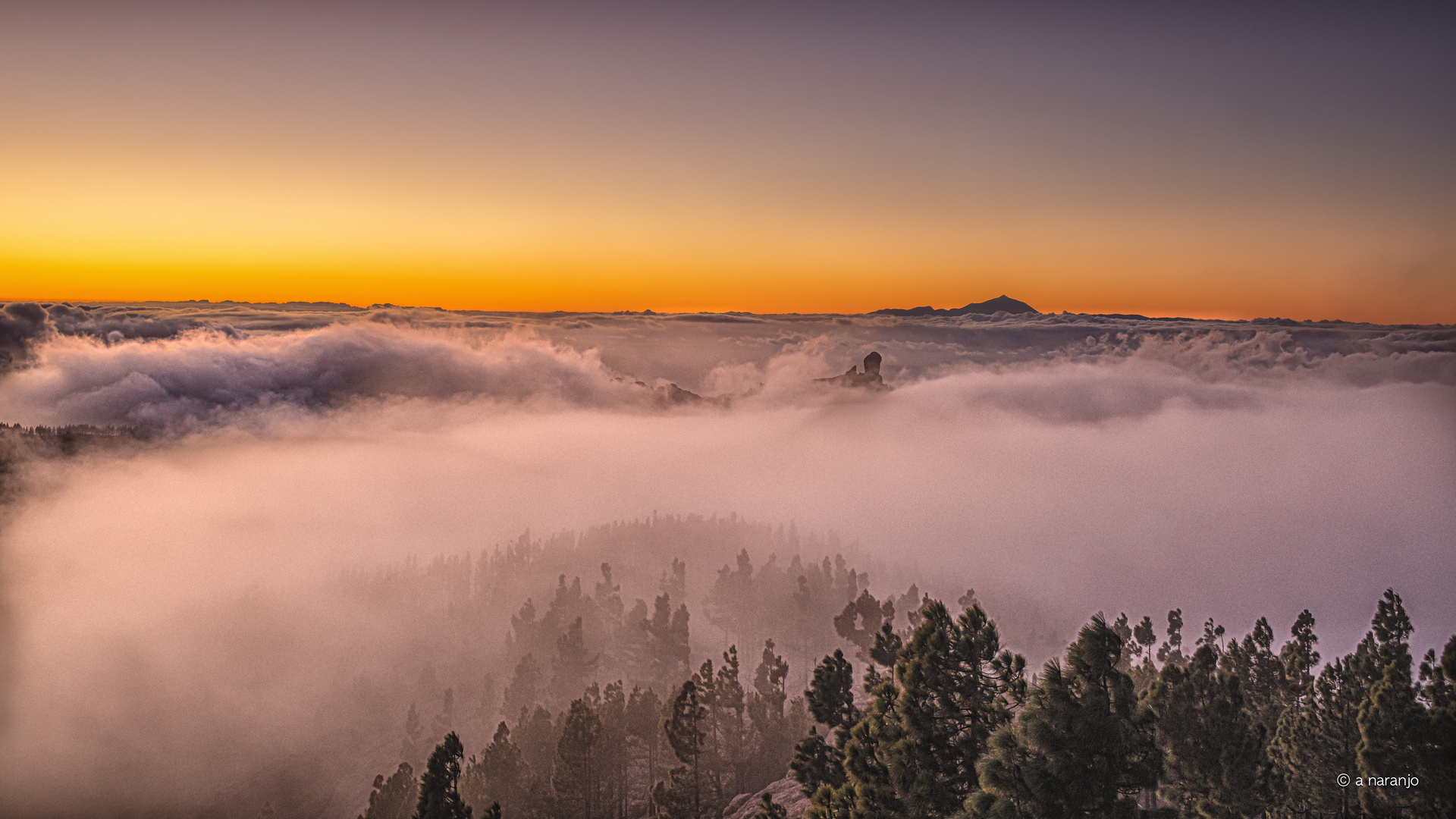 DE PICO VIENTO GRAN CANARIA