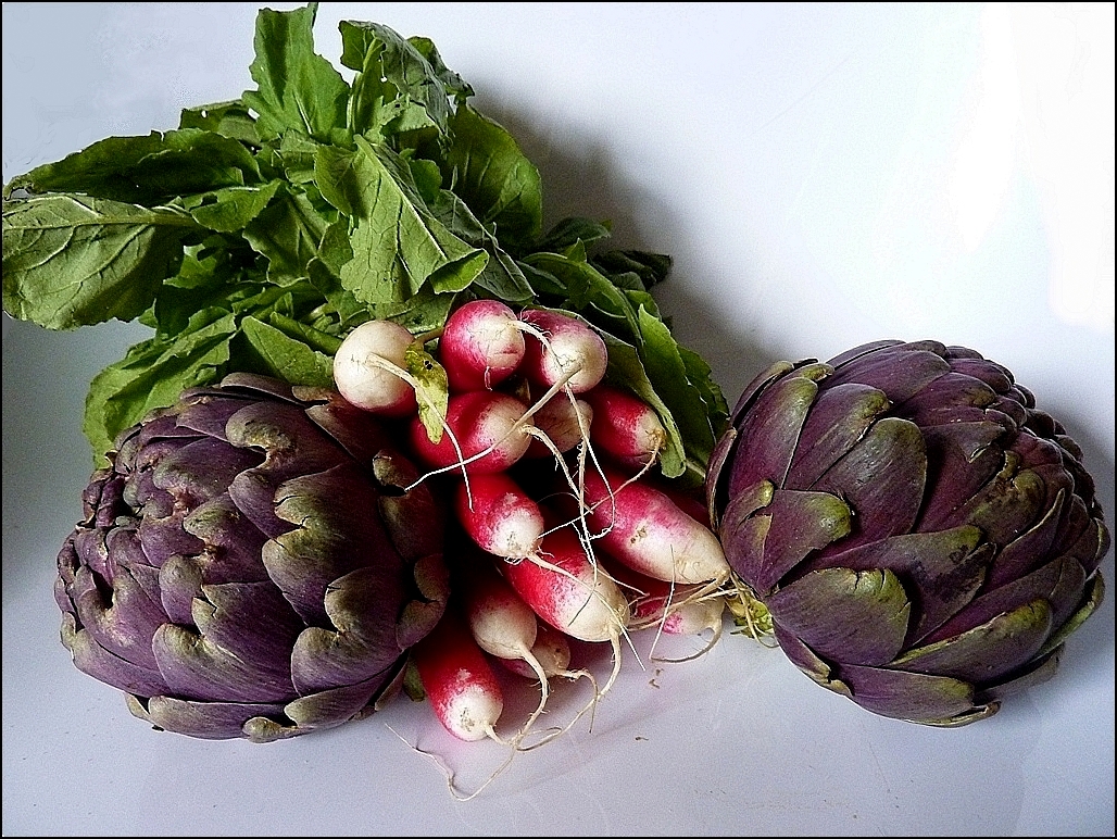 De retour du marché!