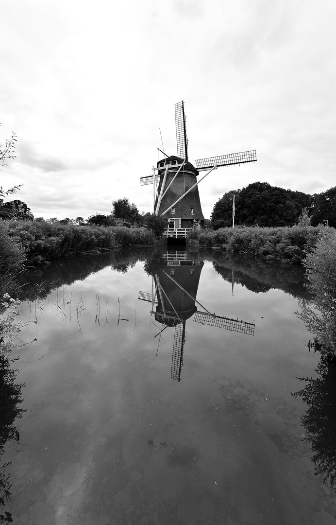 De Riekermolen