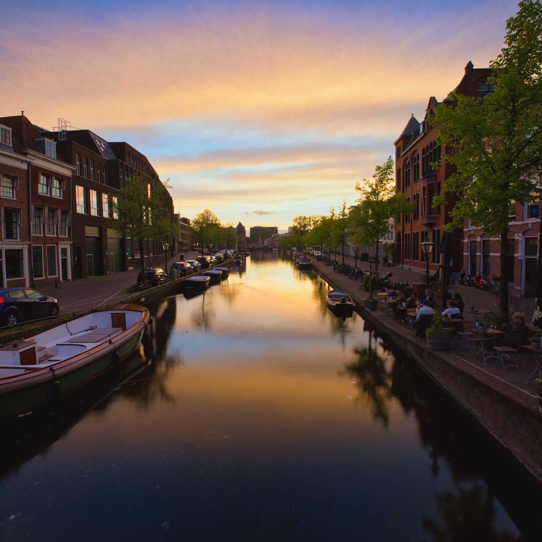 De Rijn, Leiden