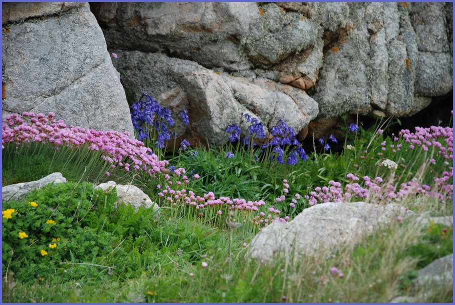 De rose et de bleu vêtu, le granit a fière allure