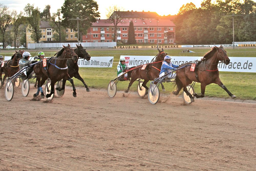 de rsieger vom dritten rennen in straubing