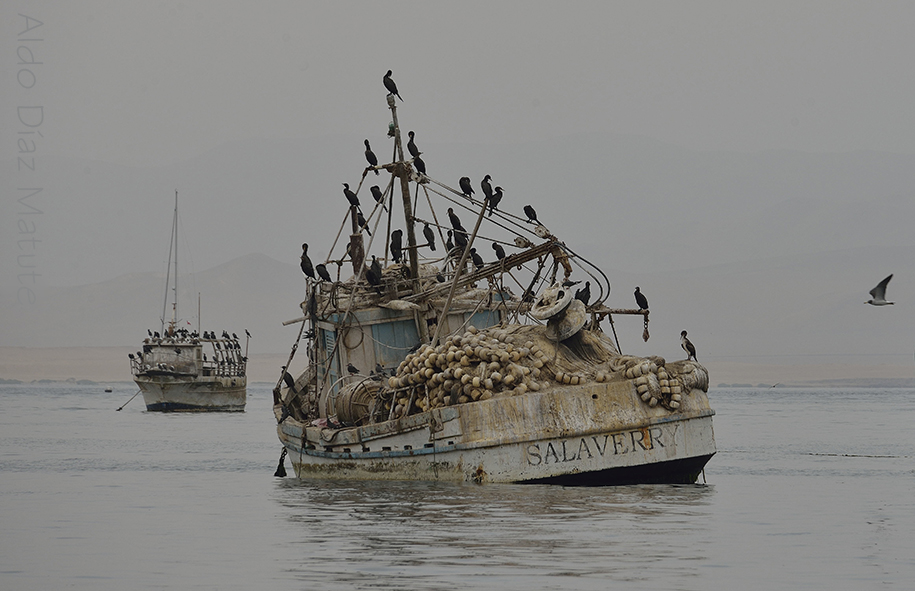 De Salaverry a Pisco