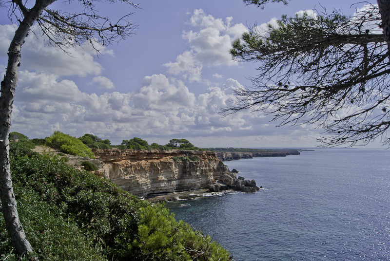 De S'estanyol a Vallgornera en Mallorca