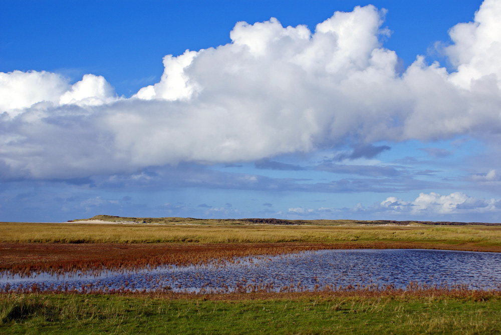 De Slufter / Texel (2)