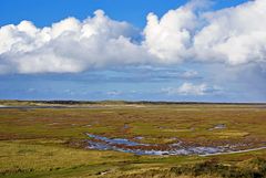 De Slufter / Texel