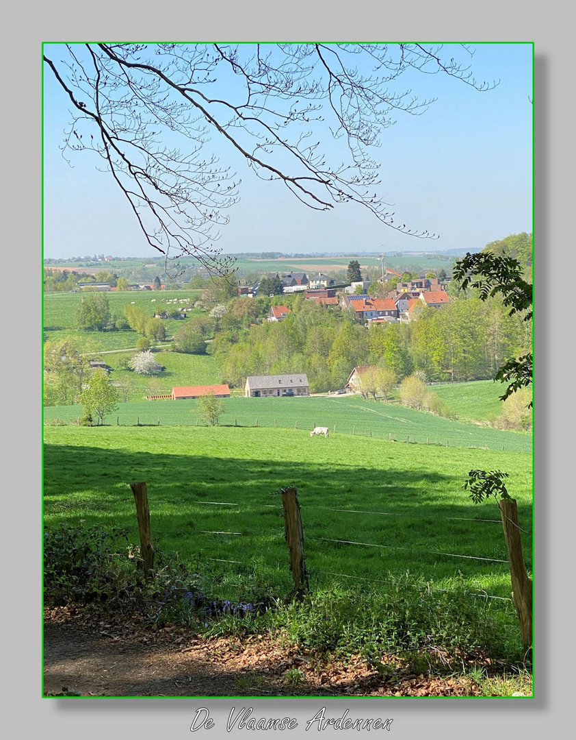  De Vlaamse Ardennen