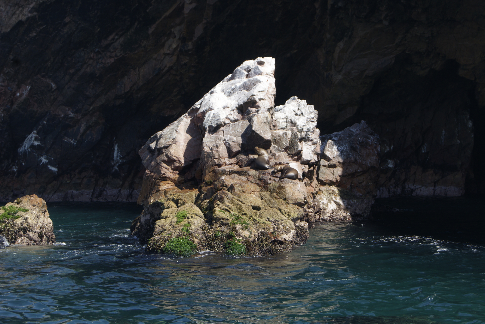 De vuelta a las Islas Ballestas