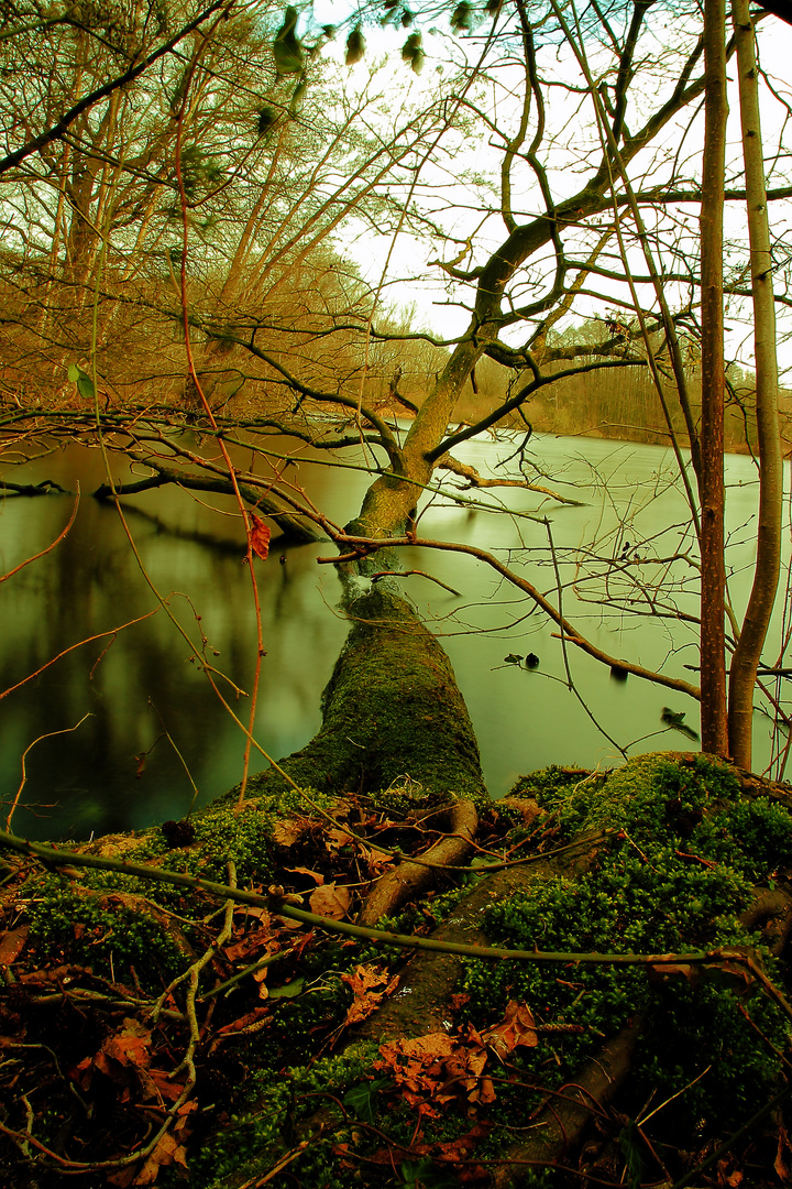 de witt see bei leuth, nettetal