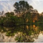 De Witt See -  Brücke ins Licht