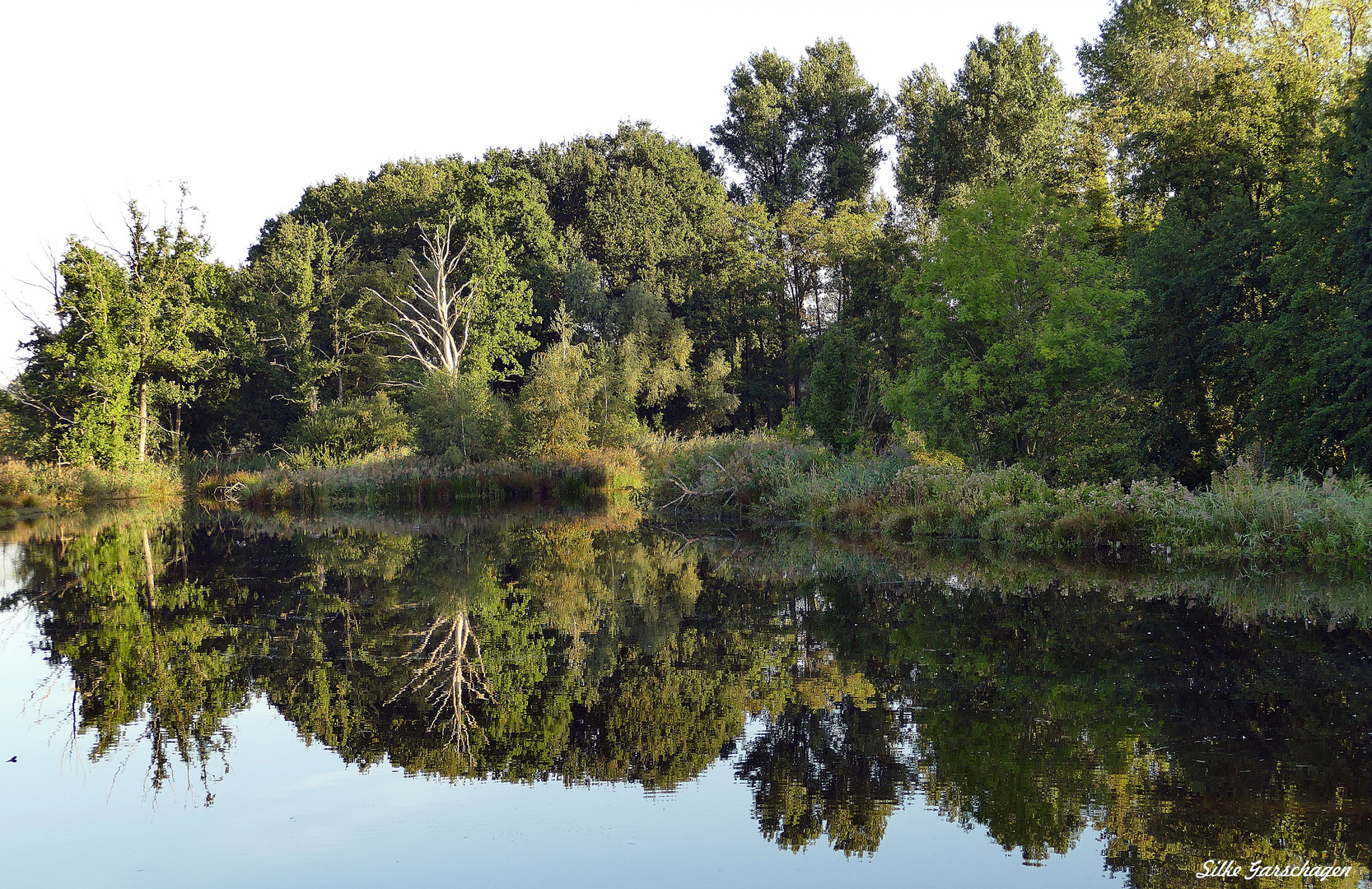 De Wittsee