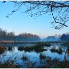 De Wittsee am Morgen