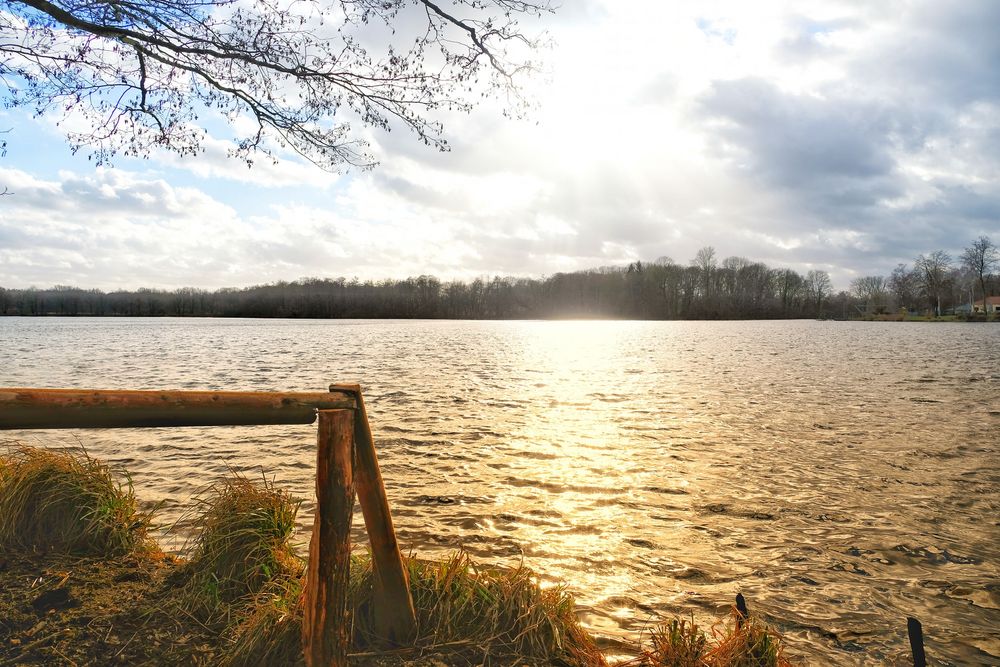 De Wittsee, Februar 2019