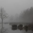 De Wittsee im Frühnebel