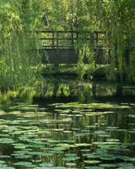 De Wittsee im Mai