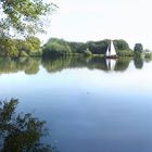 De Wittsee im Sommer