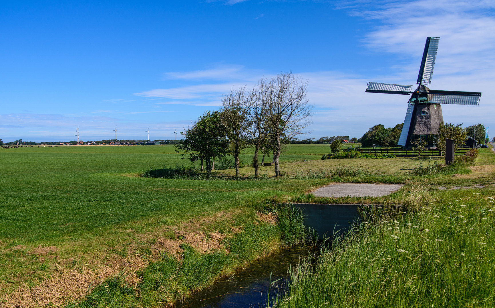 [ De Zijper Molen ]