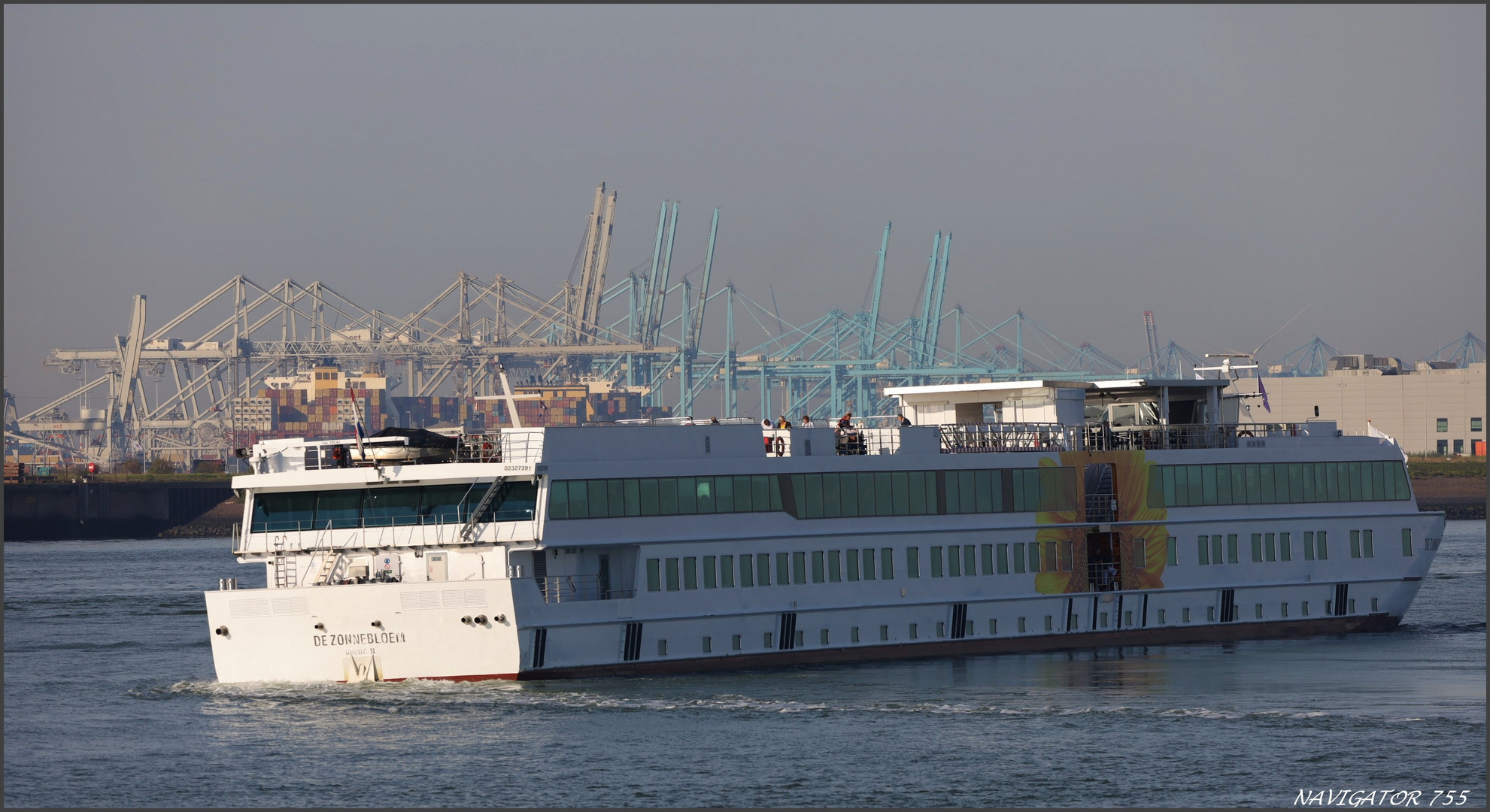 DE ZONNEBLOEM, Rotterdam