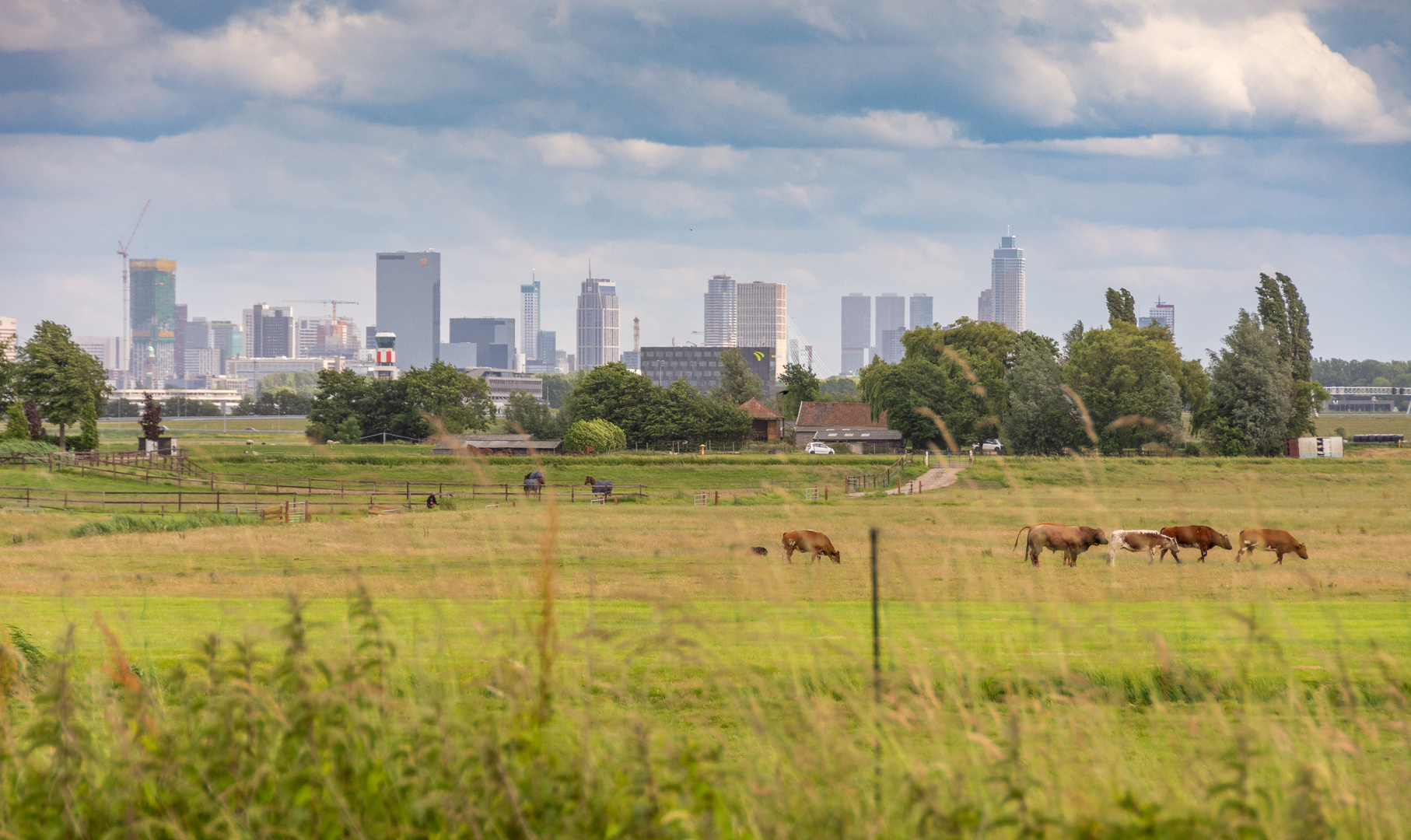 De Zweth - Berkelse Zwethpad - View on Rotterdam - 04
