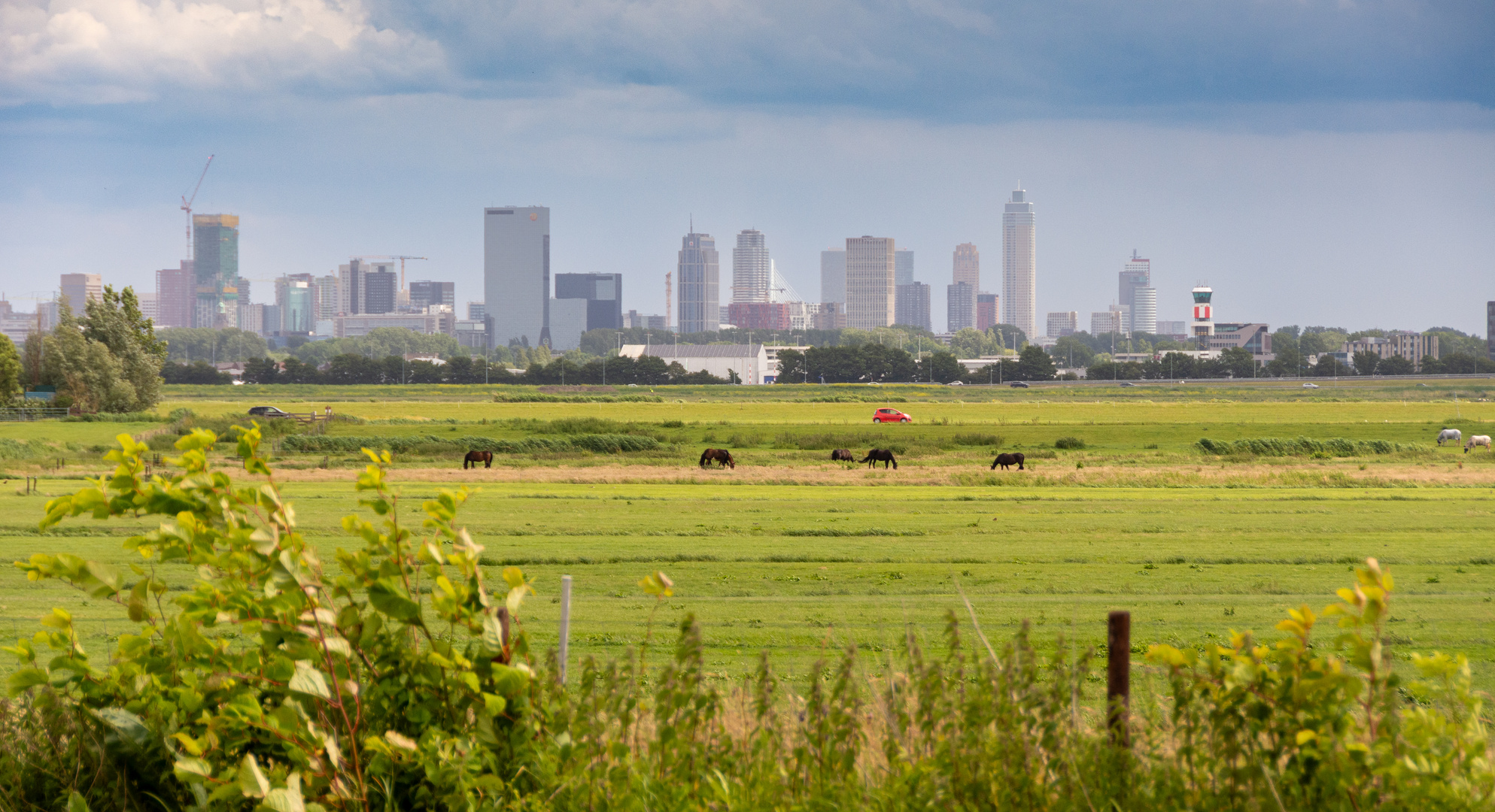 De Zweth - Berkelse Zwethpad - View on Rotterdam - 07