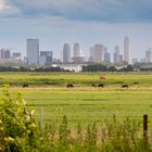 De Zweth - Berkelse Zwethpad - View on Rotterdam - 07